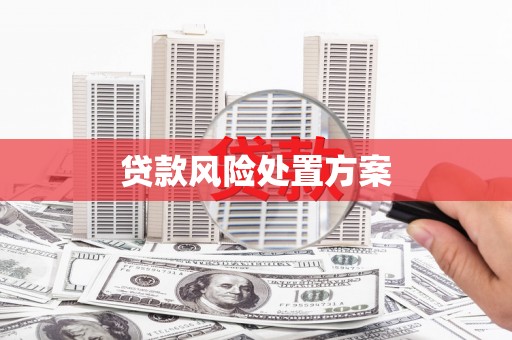 墨竹工卡贷款风险处置方案