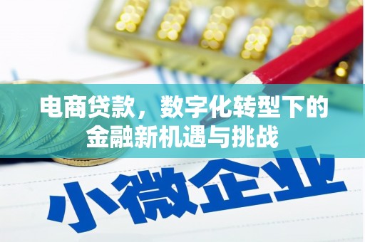 墨竹工卡电商贷款，数字化转型下的金融新机遇与挑战