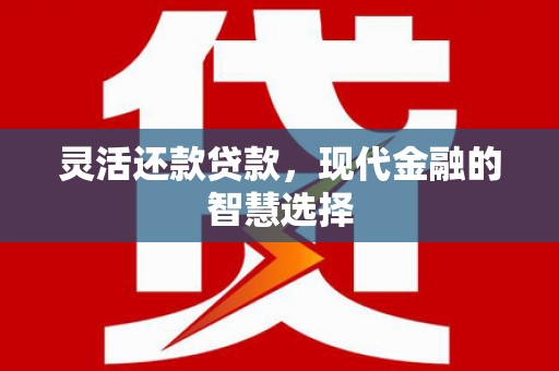 墨竹工卡灵活还款贷款，现代金融的智慧选择