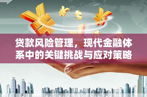 墨竹工卡贷款风险管理，现代金融体系中的关键挑战与应对策略
