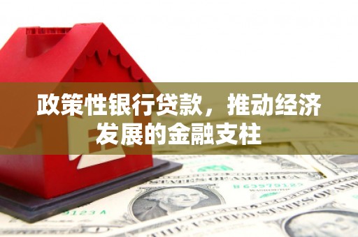 墨竹工卡政策性银行贷款，推动经济发展的金融支柱