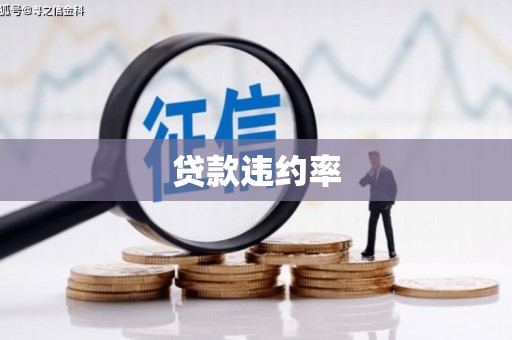 墨竹工卡贷款违约率
