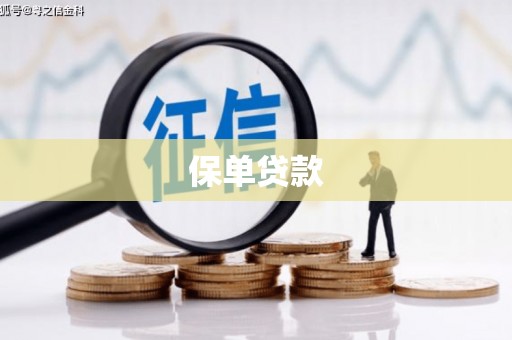 墨竹工卡保单贷款