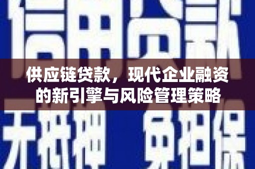 墨竹工卡供应链贷款，现代企业融资的新引擎与风险管理策略