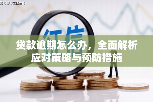 墨竹工卡贷款逾期怎么办，全面解析应对策略与预防措施