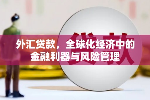 墨竹工卡外汇贷款，全球化经济中的金融利器与风险管理