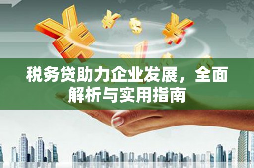 墨竹工卡税务贷助力企业发展，全面解析与实用指南