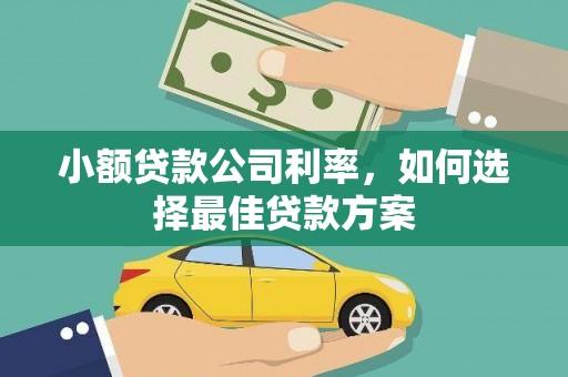 墨竹工卡小额贷款公司利率，如何选择最佳贷款方案