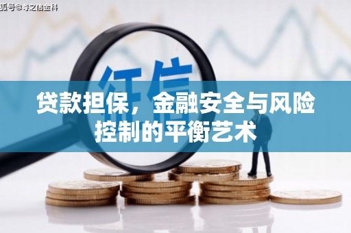 墨竹工卡贷款担保，金融安全与风险控制的平衡艺术