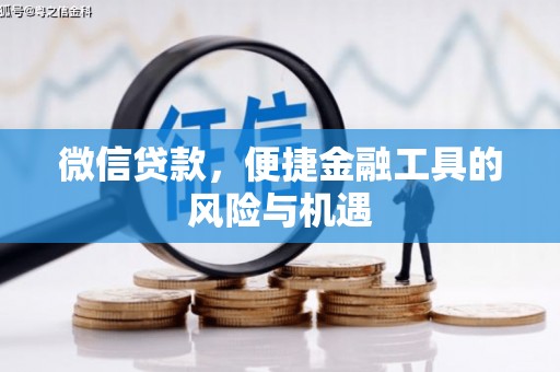 墨竹工卡微信贷款，便捷金融工具的风险与机遇