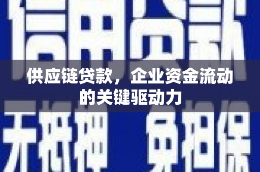 墨竹工卡供应链贷款，企业资金流动的关键驱动力
