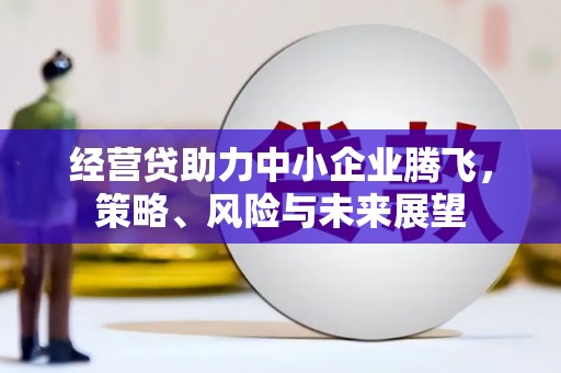 墨竹工卡经营贷助力中小企业腾飞，策略、风险与未来展望
