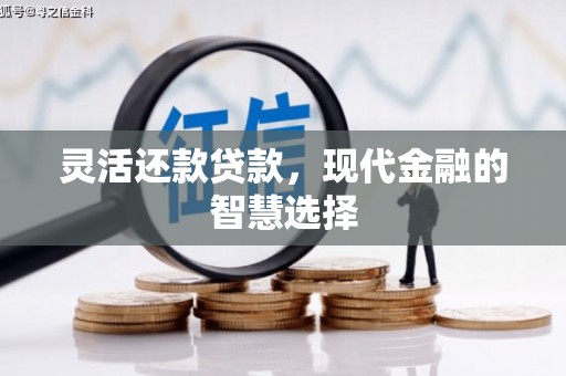 墨竹工卡灵活还款贷款，现代金融的智慧选择