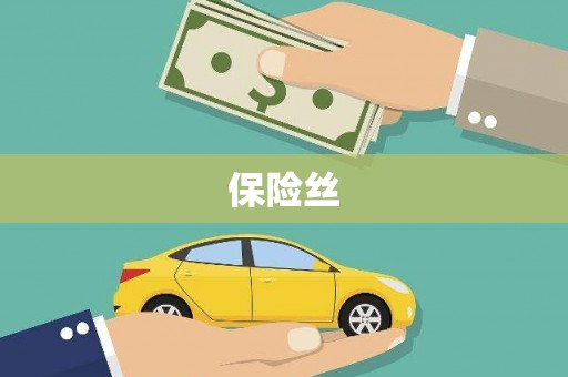 墨竹工卡保险丝