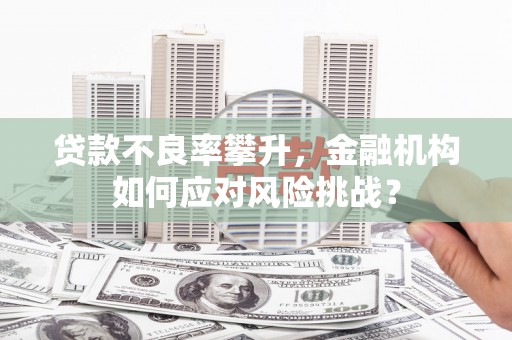 墨竹工卡贷款不良率攀升，金融机构如何应对风险挑战？