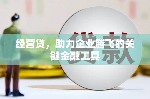 墨竹工卡经营贷，助力企业腾飞的关键金融工具