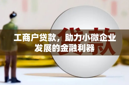 墨竹工卡工商户贷款，助力小微企业发展的金融利器