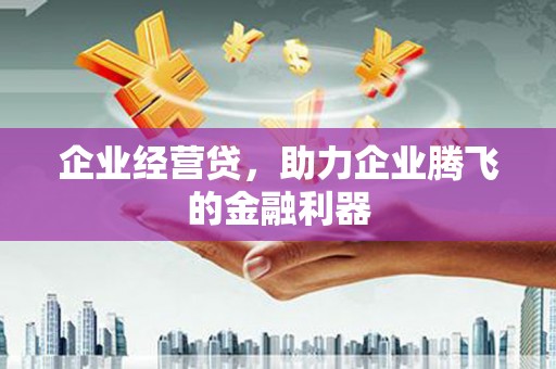 墨竹工卡企业经营贷，助力企业腾飞的金融利器