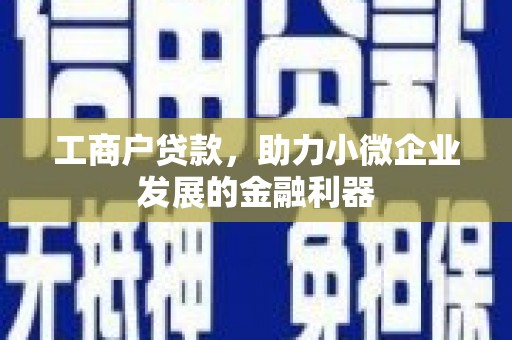 墨竹工卡工商户贷款，助力小微企业发展的金融利器