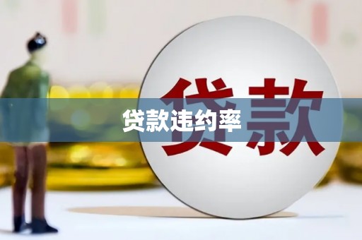 墨竹工卡贷款违约率