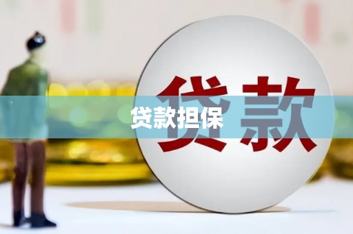墨竹工卡贷款担保