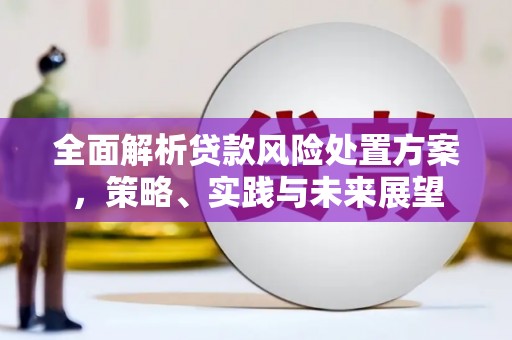 墨竹工卡全面解析贷款风险处置方案，策略、实践与未来展望