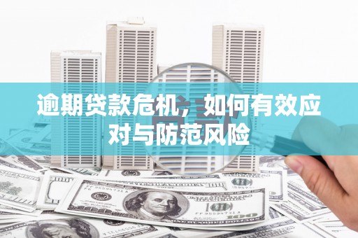 墨竹工卡逾期贷款危机，如何有效应对与防范风险