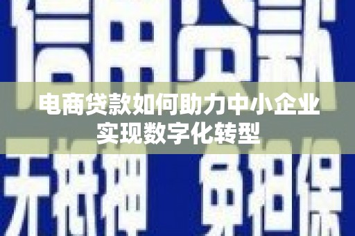 墨竹工卡电商贷款如何助力中小企业实现数字化转型