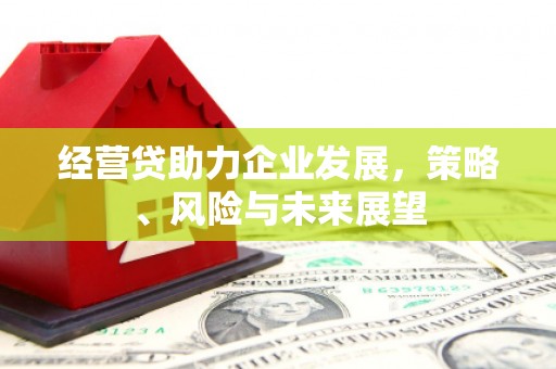 墨竹工卡经营贷助力企业发展，策略、风险与未来展望
