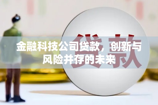 墨竹工卡金融科技公司贷款，创新与风险并存的未来