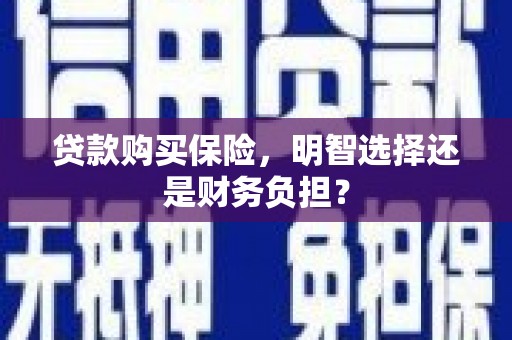 墨竹工卡贷款购买保险，明智选择还是财务负担？
