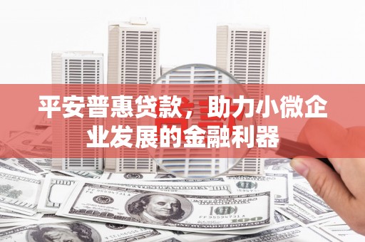 墨竹工卡平安普惠贷款，助力小微企业发展的金融利器