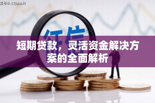 墨竹工卡短期贷款，灵活资金解决方案的全面解析