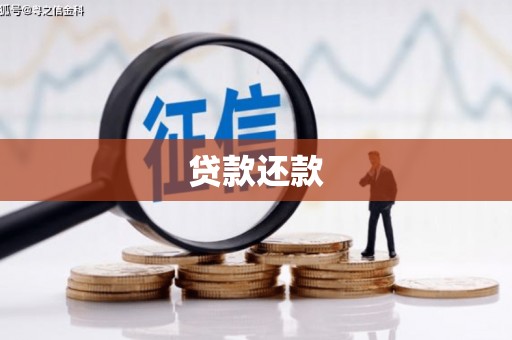 墨竹工卡贷款还款