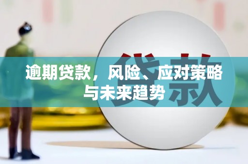墨竹工卡逾期贷款，风险、应对策略与未来趋势