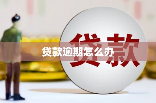 墨竹工卡贷款逾期怎么办
