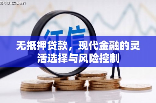 墨竹工卡无抵押贷款，现代金融的灵活选择与风险控制