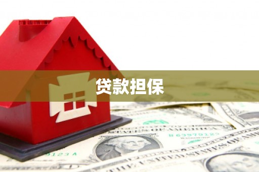 墨竹工卡贷款担保