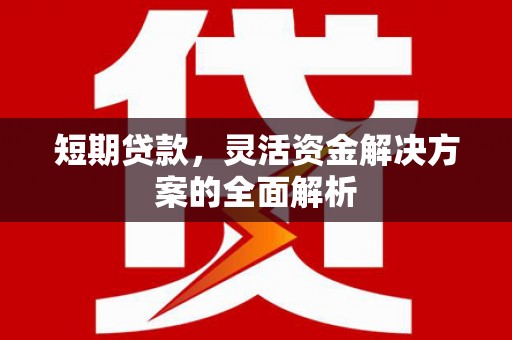 墨竹工卡短期贷款，灵活资金解决方案的全面解析