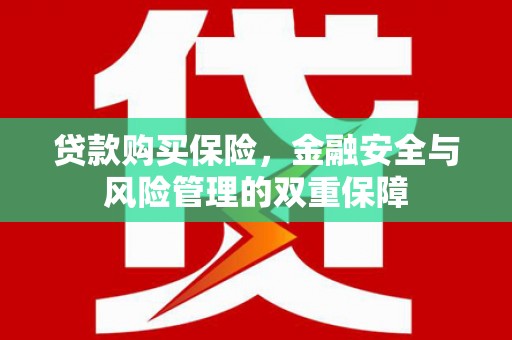墨竹工卡贷款购买保险，金融安全与风险管理的双重保障