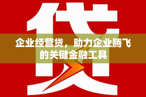 墨竹工卡企业经营贷，助力企业腾飞的关键金融工具