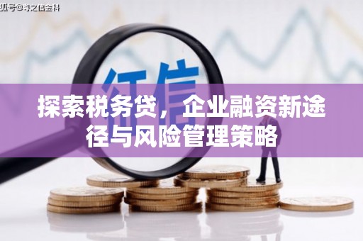 墨竹工卡探索税务贷，企业融资新途径与风险管理策略