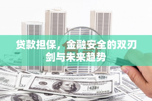 墨竹工卡贷款担保，金融安全的双刃剑与未来趋势
