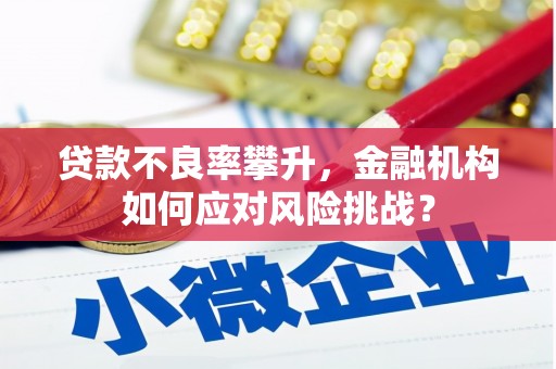 墨竹工卡贷款不良率攀升，金融机构如何应对风险挑战？