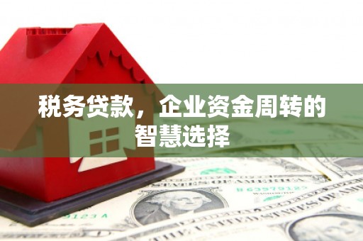 墨竹工卡税务贷款，企业资金周转的智慧选择