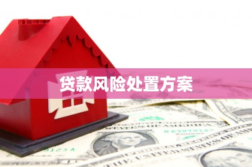 墨竹工卡贷款风险处置方案
