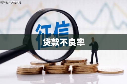 墨竹工卡贷款不良率