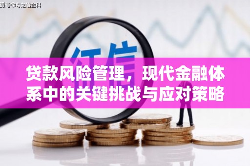 墨竹工卡贷款风险管理，现代金融体系中的关键挑战与应对策略