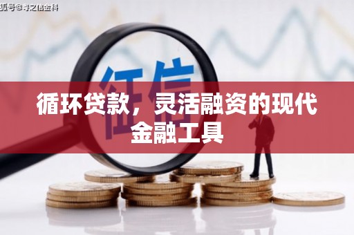 墨竹工卡循环贷款，灵活融资的现代金融工具