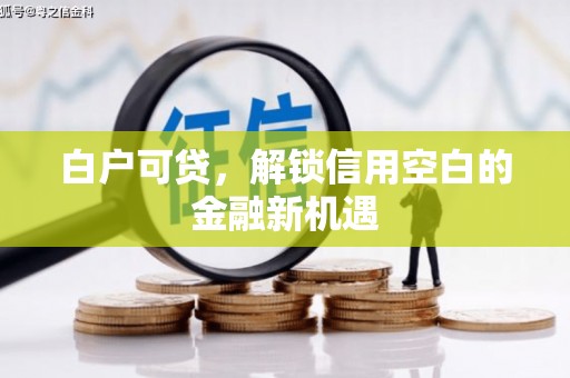 墨竹工卡白户可贷，解锁信用空白的金融新机遇